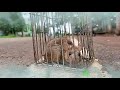 Jina Yaha Marna Yaha Whatsapp Status