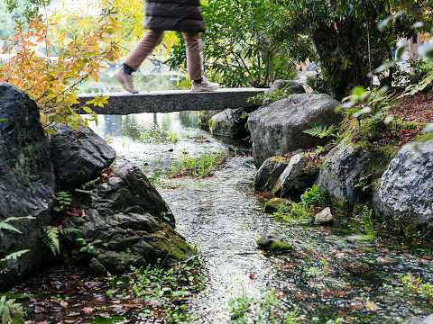 Unfolding the Cultural Ecology of Kyoto through Watershed Perspective