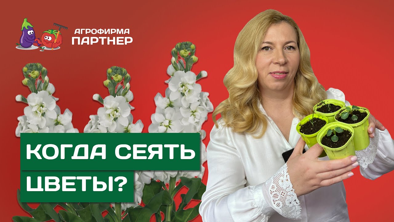 Интернет-магазин семян «Партнер» - купить семена в Москве и магазинах ...