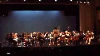 Farewell Aragog - LRHS Orchestra