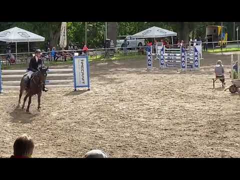 MADE BY KES: 2014 mare SF by Kannan GFE x Camebridge