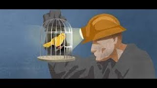 JW&#39;s- Canaries in the Coal Mine of Human Rights