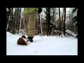 Испытание охотничьих лыж "Тайга" 