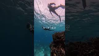 イケメンパラダイス　宮古島