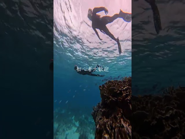 イケメンパラダイス　宮古島