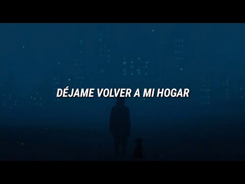 Matthew Hall - Home // Español