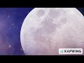 DVD Menu Walkthrough 26 Reverse Version DO NOT BLOCK WORLDWIDE