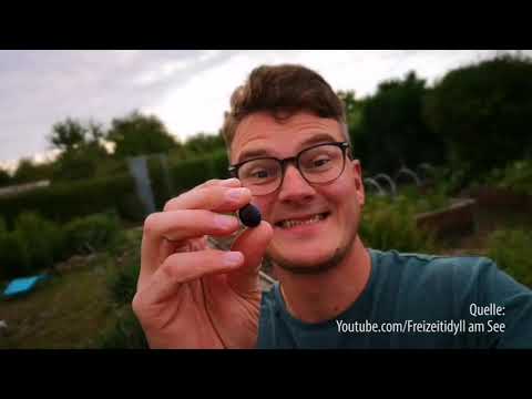 Kleingarten-Youtuber