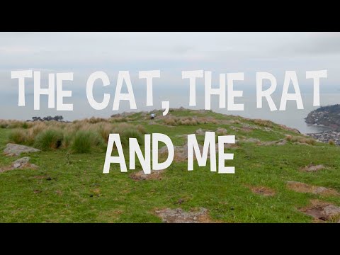THE CAT, THE RAT, AND ME | Short Film