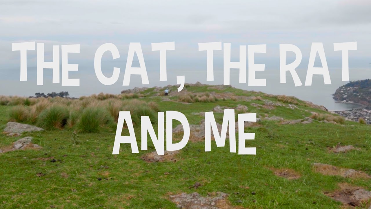 THE CAT, THE RAT, AND ME | Short Film