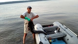 Где ловят на сурском водохранилище