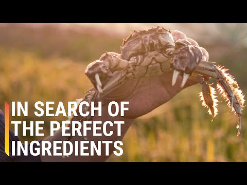 大閘蟹燉羊肉。尋找鄉村新食譜 (Hairy Crab and Lamb Stew: Searching for New Recipes in the Countryside)