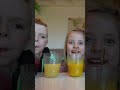 Groente- Fruit smoothies challenge. Kunnen ze raden? Vlog #2678  #debellingas #familievloggers