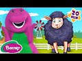 Baa Baa Black Sheep Animal Songs For Kids More Barney Nursery Rhymes And Kids Songs