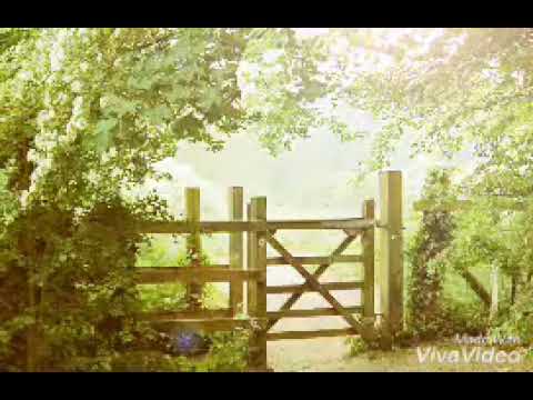 Bera ni ko gole yani