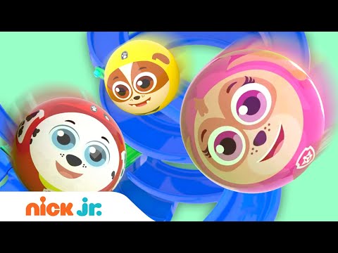 PAW Patrol Pups in Marble Race #2!  🏁 | Nick Jr.