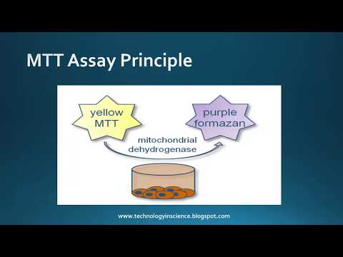 MTT assay : Cell Viability  Cytotoxicity - Principle, Advantages & Limitations