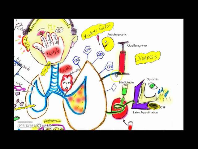 How To Pronounce Muayad HowToPronounce