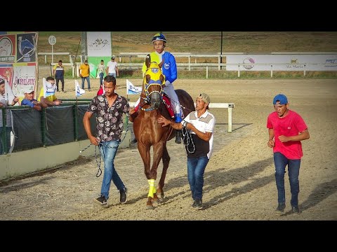 FINAL - XVI GP HARAS PRIMAVERA 2023 - Jockey Clube Cearense - CE / #corridadecavalo