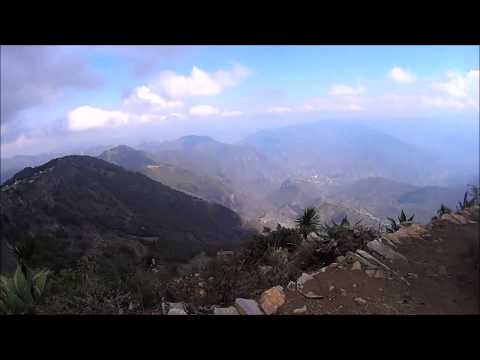 CAMPING EN CUATRO PALOS