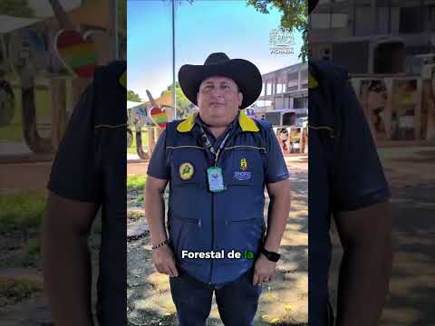 En Santa Rosalía recibimos una motocicleta Honda 150 por parte de la Defensa Civil Seccional Meta.