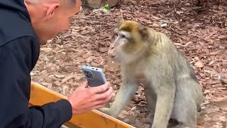 Des singes réagissent pour la première fois à la magie ! Les nouveaux animaux les plus drôles