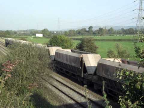 66623 6V87 03/10/11 Berkley Marsh with horn
