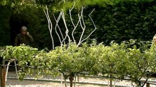 un jardin en Picardie : le jardin du Clos Alexandre