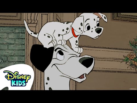 A Day in the Life of a Dalmatian! 🐾 | 101 Dalmatians | @disneykids