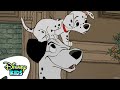 A Day In The Life Of A Dalmatian 101 Dalmatians Disneykids