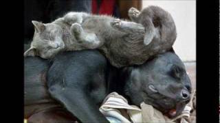 Kai Winding The Partys Over.wmv