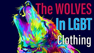 The Wolves in LGBT Clothing: NAMBLA