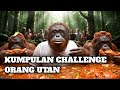 Orang Utan Challenge Mandi Lava Bakso Jus Tepung Marsmellow