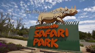 10 Top Tourist Attractions in San Diego