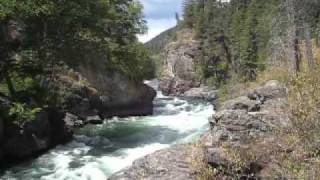 Saga - Do what you want to (Fishing)