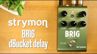 Video thumbnail for Strymon Brig dBucket Delay (Stereo) by Pedal of the Day