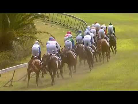 CLOUDS UNFOLD - 2020 Bidvest Majorca Stakes Gr1