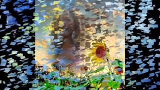 Sunflower by Milt Jackson.wmv