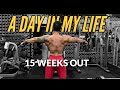 A day in my life|15 weeks out| Road to ifbb pro thailand| Back work out