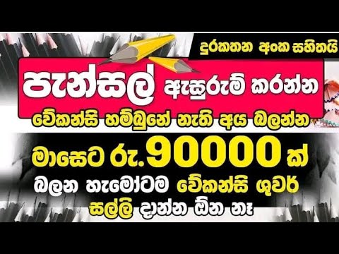 පෑන් ඇසුරුම් කරන ස්වයං රැකියා | Self employer Job | Sri lanka 2025 job vacancies | Today jobs