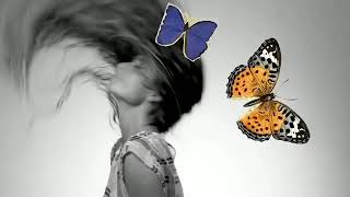 Cami - Toditas Por Ti (RosaTour visualizer)