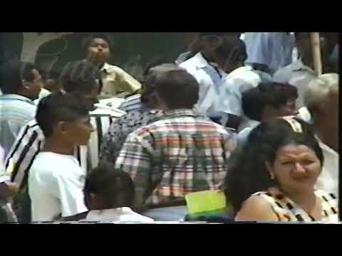 PIJIÑO DEL CARMEN MAGDALENA