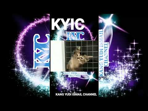 lucu||kucing lucu ||asupan kucing-kucing lucu, imut, ngakak||kang yudi Ismail channel