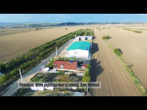 FERMA VERNESTI 26.04.2020