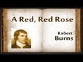 A Red, Red Rose by Robert Burns - Poetry ...