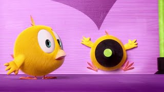 Watch Out, Chicky! | Where's Chicky? | Cartoon Collection in English for Kids | New episodes