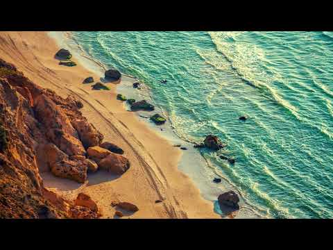 King Monada -- Professional ft Leon Lee