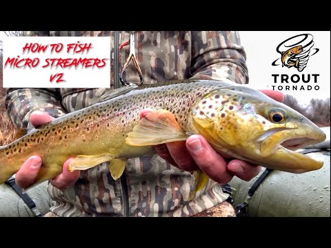 High and cold water, WHO CARES! Fly fishing with Micro Streamers (Tips & Techniques)