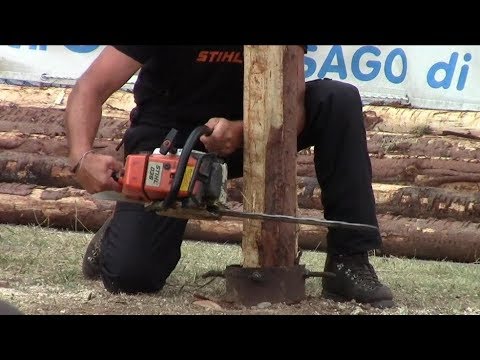 2018 - Forgaria - Triathlon del Boscaiolo