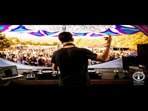 Deliriant - Psymedia Summer Mix 2014